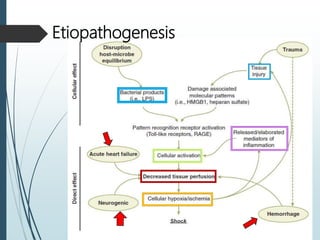 Etiopathogenesis
 