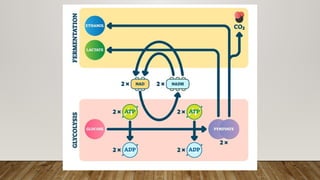 shock - harrison-all types, classification, pathophysiology.pptx