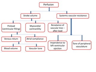 Perfusion
Stroke volume Systemic vascular resistance
Preload
(ventricular filling)
Myocardial
contractility
Resiatance of
vascular tree –
after load
Venous return Atrial compliance
Blood volume Vascular tone
Impendence to
left ventricular
ejection
Tone of peripheral
vasculature
 