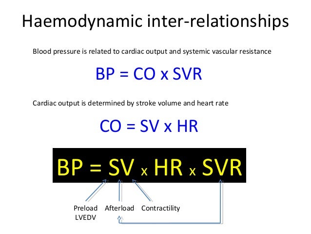 shock-pathophysiology