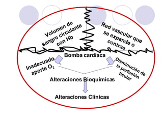 Volumen de sangre circulante con Hb Red vascular que se expande o contrae Bomba cardíaca Inadecuado aporte O 2 Disminución de la perfusión tisular Alteraciones Bioquímicas Alteraciones Clínicas 