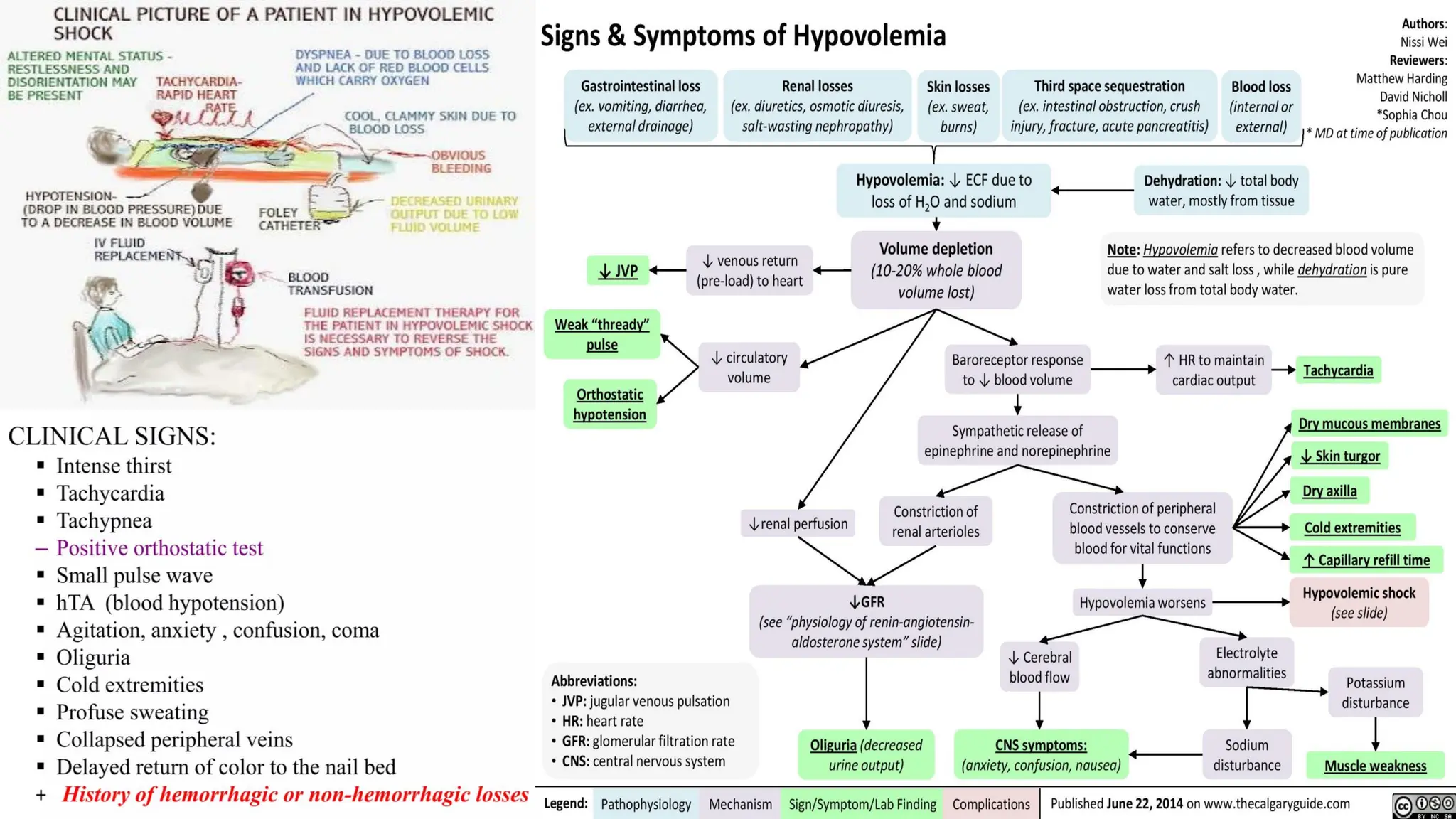 Shock - Septic + Hypovolemic - Causes & Management | PDF