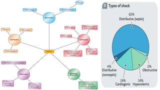 Shock - Septic + Hypovolemic - Causes & Management | PDF