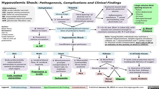 Shock - Septic + Hypovolemic - Causes & Management | PDF | First Aid ...