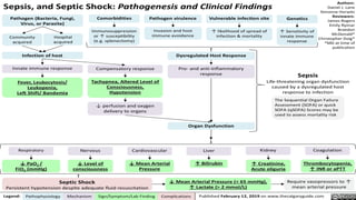 Shock - Septic + Hypovolemic - Causes & Management | PDF