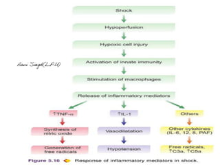 TYPES AND MECHENISM OF SHOCK | PDF