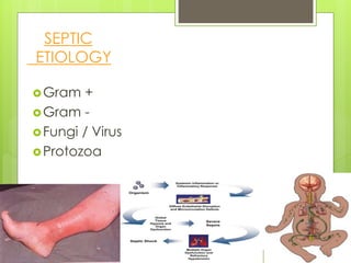 Gram +
Gram -
Fungi / Virus
Protozoa
SEPTIC
ETIOLOGY
 
