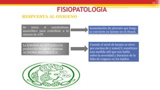 FISIOPATOLOGIA
13
RESPUESTA AL OXIGENO
Se inicia el metabolismo
anaeróbico para contribuir a la
síntesis de ATP.
Acumulación de piruvato que luego
se convierte en lactato en el citosol.
La hidrolisis de ATP junto a la
producción de lactato generan
ACIDOSIS METABOLICA.
Cuando el nivel de lactato se eleve
por encima de 2 mmol/L constituye
una medida util que nos habla
sobre la severidad y duracion de la
falta de oxigeno en los tejidos
 