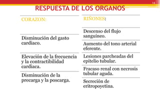 RESPUESTA DE LOS ORGANOS
CORAZON:
Disminución del gasto
cardiaco.
Elevación de la frecuencia
y la contractibilidad
cardiaca.
Disminución de la
precarga y la poscarga.
RIÑONES:
Descenso del flujo
sanguíneo.
Aumento del tono arterial
eferente.
Lesiones parcheadas del
epitelio tubular.
Fracaso renal con necrosis
tubular aguda.
Secreción de
eritropoyetina.
14
 