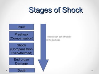 Shock Prearest Shock | PPT