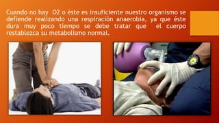Cuando no hay O2 o éste es insuficiente nuestro organismo se
defiende realizando una respiración anaerobia, ya que éste
dura muy poco tiempo se debe tratar que el cuerpo
restablezca su metabolismo normal.
 