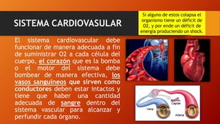 El sistema cardiovascular debe
funcionar de manera adecuada a fin
de suministrar O2 a cada célula del
cuerpo, el corazón que es la bomba
o el motor del sistema debe
bombear de manera efectiva, los
vasos sanguíneos que sirven como
conductores deben estar intactos y
tiene que haber una cantidad
adecuada de sangre dentro del
sistema vascular para alcanzar y
perfundir cada órgano.
SISTEMA CARDIOVASULAR
Si alguno de estos colapsa el
organismo tiene un déficit de
O2, y por ende un déficit de
energía produciendo un shock.
 