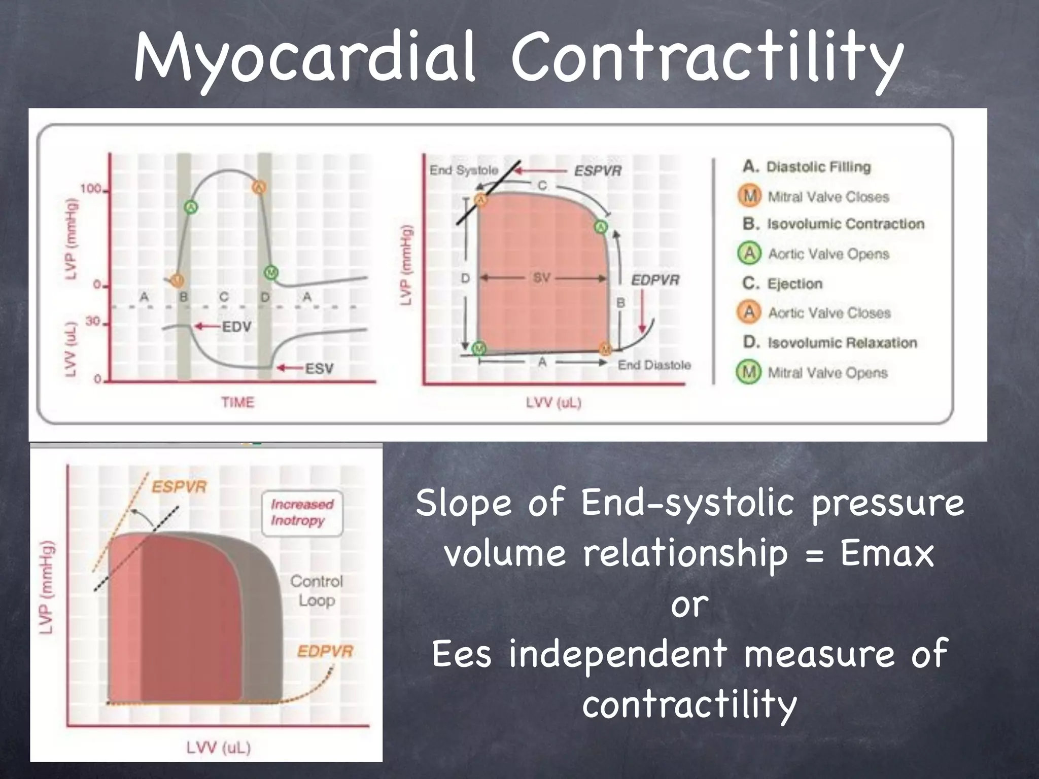 Myocardial Contractility




        Slope of End-systolic pressure
          volume relationship = Emax
                      or
         Ees independent measure of
                 contractility
 