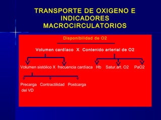 TRANSPORTE DE OXIGENO E
INDICADORES
MACROCIRCULATORIOS
Disponibilidad de O2
Volumen cardíaco X Contenido arterial de O2
Volumen sistólico X frecuencia cardíaca Hb Satur.art. O2 PaO2
Precarga Contractilidad Postcarga
del VD
 