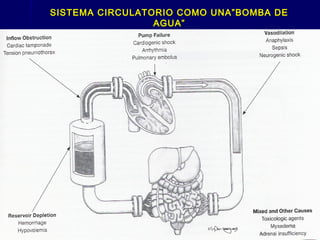 SISTEMA CIRCULATORIO COMO UNA”BOMBA DESISTEMA CIRCULATORIO COMO UNA”BOMBA DE
AGUA”AGUA”
 