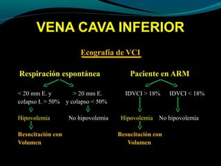 VENA CAVA INFERIOR
Ecografía de VCI
Respiración espontánea Paciente en ARM
< 20 mm E. y > 20 mm E. IDVCI > 18% IDVCI < 18%
colapso I. > 50% y colapso < 50%
Hipovolemia No hipovolemia Hipovolemia No hipovolemia
Resucitación con Resucitación con
Volumen Volumen
 