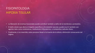 FISIOPATOLOGIA
HIPOXIA TISULAR
• La liberación de enzimas lisosomales puede contribuir también a daño de la membrana y proteolisis.
• El daño celular que afecta el órgano-específico o el endotelio vascular, puede ocurrir también con
agentes tales como endotoxinas, mediadores inflamatorios, o metabolitos radicales libres.
• Finalmente, si no revertido, estos procesos llevan a la muerte de la célula y disfunción consecuente del
órgano.
 