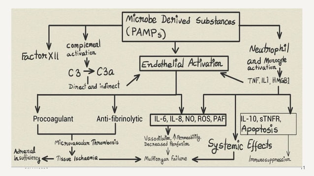 Pathogenesis of shock in field of dentistry | PPTX
