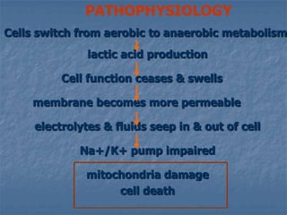  Tissue damage  	      organ  failure