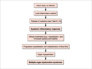 Anaphylactic ResponseVasodilatationIncreased vascular permeabilityBronchoconstrictionIncreased mucus productionIncreased inflammatory mediators recruitment to sites of antigen interaction