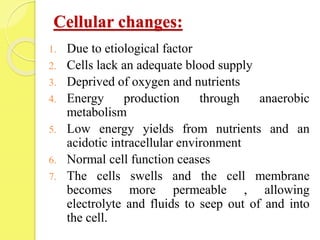 Cellular changes:
1. Due to etiological factor
2. Cells lack an adequate blood supply
3. Deprived of oxygen and nutrients
4. Energy production through anaerobic
metabolism
5. Low energy yields from nutrients and an
acidotic intracellular environment
6. Normal cell function ceases
7. The cells swells and the cell membrane
becomes more permeable , allowing
electrolyte and fluids to seep out of and into
the cell.
 