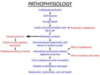PATHOPHYSIOLOGY
 