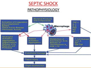 SEPTIC SHOCK
PATHOPHYSIOLOGY
 