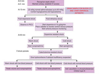 DRAW SAMPLE FOR BLOOD C/S
AND START EMPERICAL
ANTIBIOTIC
 