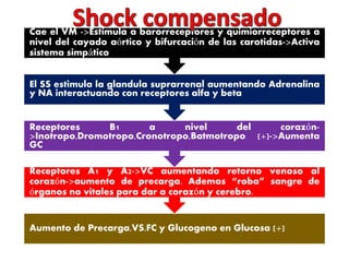 Cae el VM ->Estimula a barorreceptores y quimiorreceptores a 
nivel del cayado aórtico y bifurcación de las carotidas->Activa 
sistema simpático 
El SS estimula la glandula suprarrenal aumentando Adrenalina 
y NA interactuando con receptores alfa y beta 
Receptores B1 a nivel del corazón- 
>Inotropo,Dromotropo,Cronotropo,Batmotropo (+)->Aumenta 
GC 
Receptores A1 y A2->VC aumentando retorno venoso al 
corazón->aumento de precarga. Ademas “roba” sangre de 
órganos no vitales para dar a corazón y cerebro. 
Aumento de Precarga.VS.FC y Glucogeno en Glucosa (+) 
 