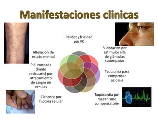 Palidez y frialdad 
por VC 
Sudoracion por 
estimulos alfa 
de glándulas 
sudoripadas 
Taquipnea para 
compensar 
acidosis 
Taquicardia por 
mecanismo 
compensatorio 
Alteracion de 
estado mental 
Piel moteada 
(livedo 
reticularis) por 
atrapamiento 
de sangre en 
vénulas 
Cianosis: por 
hipoxia celular 
 