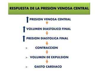 RESPUESTA DE LA PRESION VENOSA CENTRAL 
PRESION VENOSA CENTRAL 
VOLUMEN DIASTOLICO FINAL 
PRESION DIASTOLICA FINAL 
> CONTRACCION 
> VOLUMEN DE EXPULSION 
> GASTO CARDIACO 
 