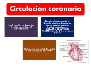 Circulacion coronaria 
La circulación va desde las 
arterias epicardicas al 
subendocardio 
Cuando el corazón esta en 
diástole, el miocardio deja de 
ejercer presión sobre las 
arterias(relajacion)->EL 
CORAZON SE NUTRE EN 
DIASTOLE (5% del GC) 6/10 s dura 
diastole 
Recibe entre 60 a 90 mL de sangre 
x min. x 100 gr de miocardio 
 