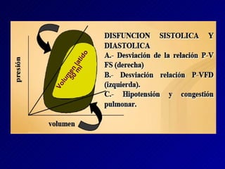 Volumen latido 50 ml 