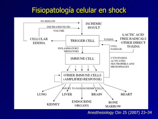 Fisiopatología celular en shock Anesthesiology Clin 25 (2007) 23–34 