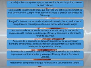 Los reflejos Barroreceptores que provoca estimulación simpática potente
de la circulación.
Aumento de la secreción de Adrenalina y noradrenalina en la médula
suprarrenal, contrae arterias y venas periféricas y eleva la frecuencia
Cardíaca.
La respuesta Isquémica del SNC, que provoca una estimulación simpática
mas potente en el cuerpo, no se activa hasta que la presión cae debajo de
50mmHg.
Relajación inversa por estrés del sistema circulatorio, hace que los vasos
sanguíneos se contraigan en torno al menor volumen de sangre
Aumento de la secreción de renina por los riñones y formación de
angiotensina II, contrae las arterias periféricas y disminuye la eliminación
renal de aguay sal.
Aumento de la secreción en la hipófisis posterior de vasopresina(
hormona antidiurética), contrae arterias y venas periféricas y aumenta la
retención de agua en los riñones.
Mecanismos compensadores que normalizan el volumen de la sangre .
 