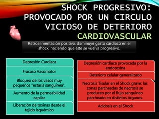 SHOCK PROGRESIVO:
PROVOCADO POR UN CIRCULO
VICIOSO DE DETERIORO
Retroalimentación positiva, disminuye gasto cardíaco en el
shock, haciendo que este se vuelva progresivo.
Depresión Cardíaca
Fracaso Vasomotor
Bloqueo de los vasos muy
pequeños “estasis sanguínea”.
Aumento de la permeabilidad
capilar
Liberación de toxinas desde el
tejido isquémico
Depresión cardíaca provocada por la
endotoxina
Deterioro celular generalizado
Necrosis Tisular en el Shock grave: las
zonas parcheadas de necrosis se
producen por el flujo sanguíneo
parcheado en distintos órganos.
Acidosis en el Shock
 