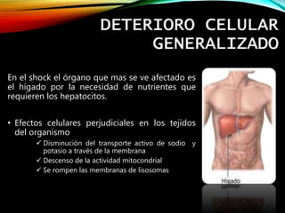 DETERIORO CELULAR
GENERALIZADO
En el shock el órgano que mas se ve afectado es
el hígado por la necesidad de nutrientes que
requieren los hepatocitos.
• Efectos celulares perjudiciales en los tejidos
del organismo
 Disminución del transporte activo de sodio y
potasio a través de la membrana
 Descenso de la actividad mitocondrial
 Se rompen las membranas de lisosomas
 