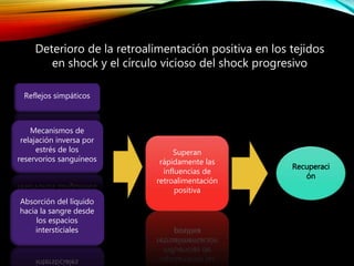 Deterioro de la retroalimentación positiva en los tejidos
en shock y el círculo vicioso del shock progresivo
Reflejos simpáticos
Absorción del líquido
hacia la sangre desde
los espacios
intersticiales
Mecanismos de
relajación inversa por
estrés de los
reservorios sanguíneos
Superan
rápidamente las
influencias de
retroalimentación
positiva
Recuperaci
ón
 