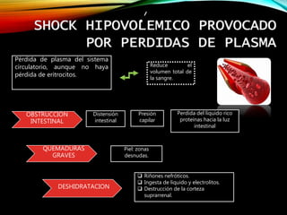 SHOCK HIPOVOLEMICO PROVOCADO
POR PERDIDAS DE PLASMA
Pérdida de plasma del sistema
circulatorio, aunque no haya
pérdida de eritrocitos.
Reduce el
volumen total de
la sangre.
OBSTRUCCION
INTESTINAL
QUEMADURAS
GRAVES
DESHIDRATACION
Distensión
intestinal
Presión
capilar
Perdida del liquido rico
proteínas hacia la luz
intestinal
Piel: zonas
desnudas.
 Riñones nefróticos.
 Ingesta de liquido y electrolitos.
 Destrucción de la corteza
suprarrenal.
 