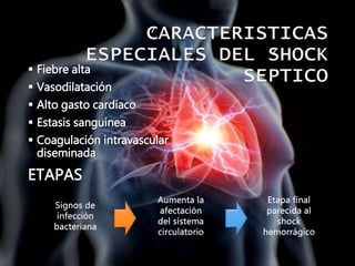  Fiebre alta
 Vasodilatación
 Alto gasto cardíaco
 Estasis sanguínea
 Coagulación intravascular
diseminada
Signos de
infección
bacteriana
Aumenta la
afectación
del sistema
circulatorio
Etapa final
parecida al
shock
hemorrágico
ETAPAS
 