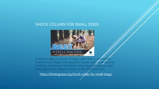 SHOCK COLLARS FOR SMALL DOGS
A shock collar is a form of dog collar that is commonly
used to train dogs with behavior issues such as excessive
barking, chewing on furniture, food aggressiveness, and
even dogs that refuse to stay on the property line.
https://thedogcare.org/shock-collar-for-small-dogs/
 