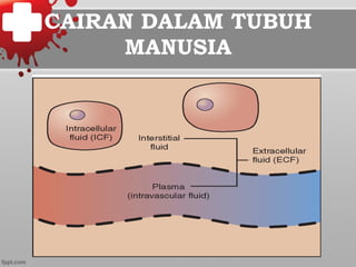 CAIRAN DALAM TUBUH
MANUSIA
 