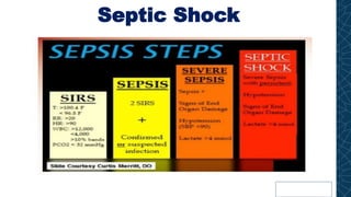 Septic Shock
 