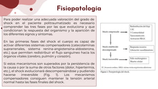 Fisiopatología
Para poder realizar una adecuada valoración del grado de
shock en el paciente politraumatizado es necesario
comprender las tres fases por las que evoluciona y que
condicionan la respuesta del organismo y la aparición de
los diferentes signos y síntomas.
En las primeras fases del shock el cuerpo es capaz de
activar diferentes sistemas compensadores (catecolaminas
suprarrenales, sistema renina-angiotensina-aldosterona,
etc.) que permiten redistribuir el ﬂujo sanguíneo hacia los
órganos vitales (cerebro, pulmón y corazón).
Si estos mecanismos son superados por la persistencia de
la causa o por la suma de otros factores (dolor, hipertermia,
etc.), el shock evolucionará descompensándose y pudiendo
hacerse irreversible (Fig. 1). Los mecanismos
compensadores consiguen mantener la tensión arterial
normal hasta las fases ﬁnales del shock.
 