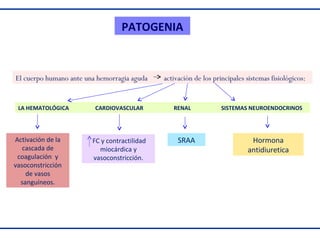 PATOGENIA

El cuerpo humano ante una hemorragia aguda

LA HEMATOLÓGICA

Activación de la
cascada de
coagulación y
vasoconstricción
de vasos
sanguíneos.

CARDIOVASCULAR

FC y contractilidad
miocárdica y
vasoconstricción.

activación de los principales sistemas fisiológicos:

RENAL

SRAA

SISTEMAS NEUROENDOCRINOS

Hormona
antidiuretica

 