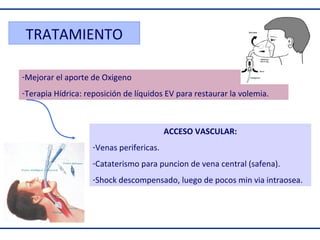 TRATAMIENTO
-Mejorar el aporte de Oxigeno
-Terapia Hídrica: reposición de líquidos EV para restaurar la volemia.

ACCESO VASCULAR:
-Venas perifericas.
-Cataterismo para puncion de vena central (safena).
-Shock descompensado, luego de pocos min via intraosea.

 
