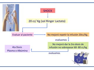 SHOCK
20 cc/ Kg (sol Ringer Lactato)

Evaluar al paciente

No mejoró repetir la infusión 20cc/Kg.
evaluamos

4ta Dosis
Plasma o Albúmina

No mejoró dar la 3ra dosis de
infusión no sobrepasar 60- 80 cc/kg
evaluamos

 