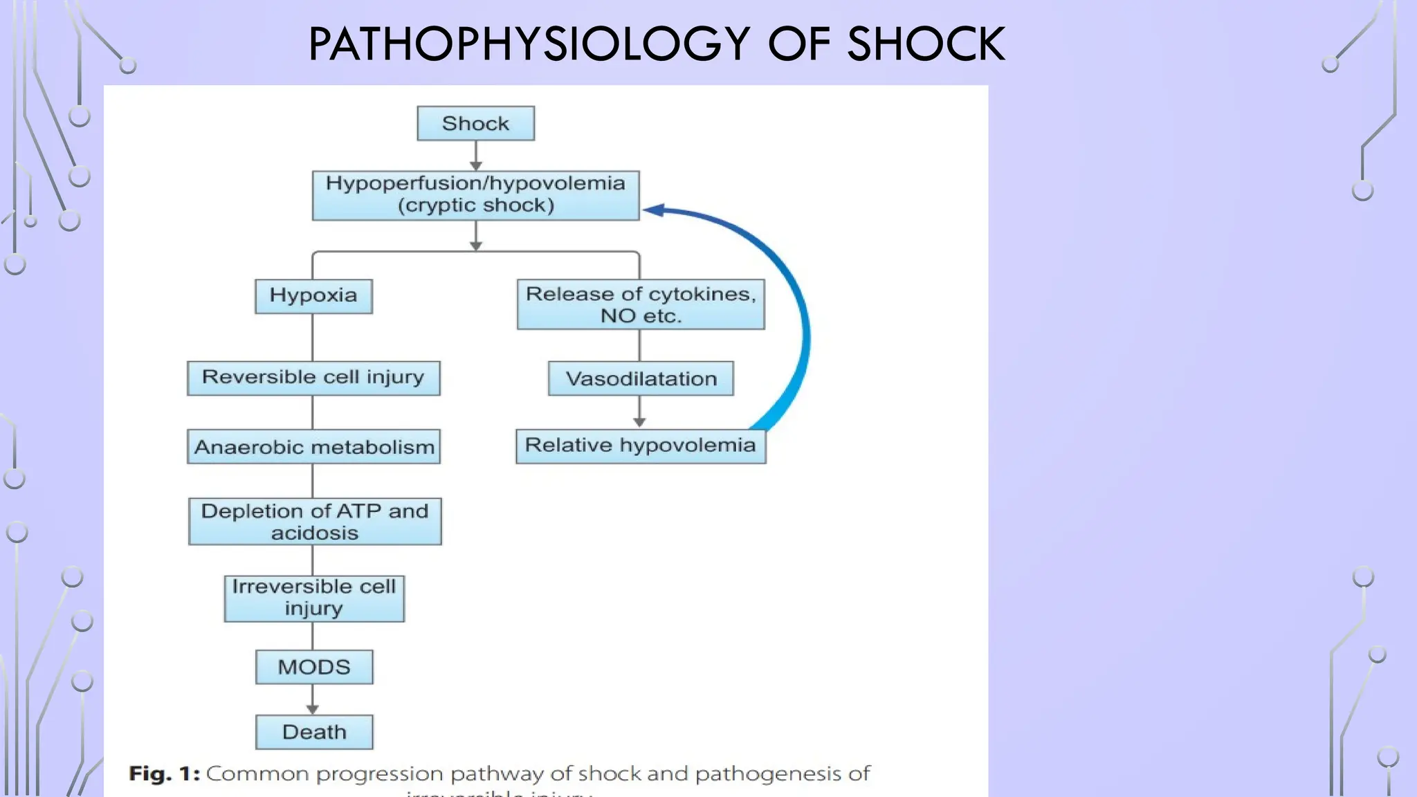PATHOPHYSIOLOGY OF SHOCK
 
