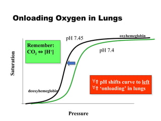 Understanding Shock: Recognition and Resuscitation | PPT