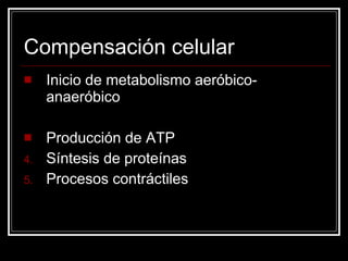 Compensación celular Inicio de metabolismo aeróbico-anaeróbico Producción de ATP Síntesis de proteínas Procesos contráctiles  